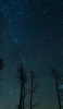 📱冬の木立と銀河 Galaxy A30 Android 壁紙・待ち受け