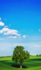 📱青空と緑の大木と丘陵 ZenFone 7 Pro 壁紙・待ち受け