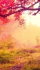📱極彩色 秋の風景紅葉 山道 Galaxy S21 5G 壁紙・待ち受け