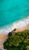 📱俯瞰視点 綺麗な緑色の海 浜辺 林 ZenFone Max Pro (M2) 壁紙・待ち受け