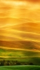 📱綺麗な黄色と緑の丘陵地 Galaxy S21 5G 壁紙・待ち受け