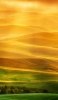 📱綺麗な黄色と緑の丘陵地 Galaxy A32 5G 壁紙・待ち受け
