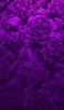 📱紫のグラデーションの薔薇のイラスト ZenFone 7 Pro 壁紙・待ち受け