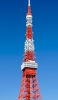 📱東京タワー Xperia 8 Lite 壁紙・待ち受け
