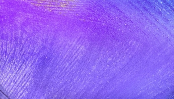 📱画面いっぱいの紫の羽 Rakuten Hand 5G 壁紙・待ち受け