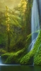 📱綺麗な滝と苔生した森と川 Galaxy S21 5G 壁紙・待ち受け