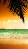 📱椰子の木越しのオレンジの空と緑の海 ZenFone Max Pro (M2) 壁紙・待ち受け