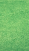 📱綺麗に刈り揃えられた芝 Redmi Note 10 Pro 壁紙・待ち受け