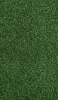 📱濃い緑のグリーン・芝 Galaxy S21 5G 壁紙・待ち受け