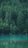 📱緑の森と湖 iPhone 13 mini 壁紙・待ち受け