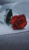 📱ソファーの上の赤い薔薇 Xperia 8 Lite 壁紙・待ち受け