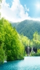 📱綺麗な森と緑の川と青空 HUAWEI P20 lite 壁紙・待ち受け