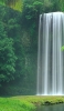 📱森の中の綺麗な滝 AQUOS sense5G 壁紙・待ち受け