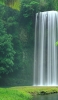📱森の中の綺麗な滝 Rakuten Hand 壁紙・待ち受け