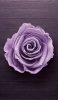 📱木の板の上の紫の薔薇 ZenFone 7 Pro 壁紙・待ち受け