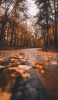 📱秋の森と落ち葉がある道路 iPhone 12 mini 壁紙・待ち受け