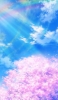 📱水色の綺麗な空と虹と桜のイラスト iPhone 12 mini 壁紙・待ち受け