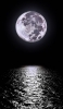 📱満月と暗い海 iPhone 12 mini 壁紙・待ち受け