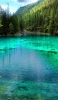 📱森と緑の澄んだ湖 ZenFone Max Pro (M2) 壁紙・待ち受け