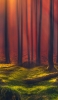 📱赤い森と苔生した土地 Galaxy S21 5G 壁紙・待ち受け