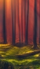 📱赤い森と苔生した土地 Galaxy A32 5G 壁紙・待ち受け