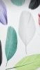 📱緑・紫・白・黒・ピンクの羽 ZenFone Max Pro (M2) 壁紙・待ち受け