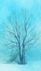 📱水色の空 雪景色 枯れ木 Galaxy S21 5G 壁紙・待ち受け