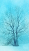 📱水色の空 雪景色 枯れ木 Galaxy A32 5G 壁紙・待ち受け