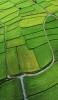 📱区画された緑の田園風景 用水路 ZenFone Max Pro (M2) 壁紙・待ち受け