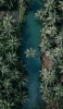 📱俯瞰視点のジャングル 森と川 iPhone 12 mini 壁紙・待ち受け