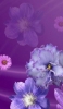 📱紫・ピンクの花 Galaxy S21 5G 壁紙・待ち受け