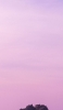 📱薄紫の空 孤島 Xperia 8 Lite 壁紙・待ち受け