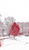 📱雪 赤い木 風景 ZenFone 7 壁紙・待ち受け