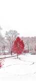 📱雪 赤い木 風景 Redmi Note 10 Pro 壁紙・待ち受け