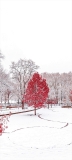 📱雪 赤い木 風景 Galaxy A32 5G 壁紙・待ち受け