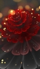 📱赤い花 CG Redmi Note 9S 壁紙・待ち受け