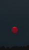 📱赤い満月 森のシルエット Xperia 5 II 壁紙・待ち受け