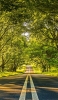 📱真っすぐ緩やかに下る道路と綺麗な緑の林 Galaxy S21 5G 壁紙・待ち受け