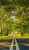 📱真っすぐ緩やかに下る道路と綺麗な緑の林 OPPO A5 2020 壁紙・待ち受け