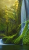 📱苔生した森 流れ落ちる滝 Xperia 8 Lite 壁紙・待ち受け