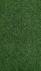 📱濃い緑の芝生 Xperia 10 III 壁紙・待ち受け