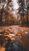 📱秋の森と落ち葉がある道路 iPhone 13 Pro 壁紙・待ち受け
