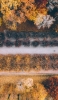 📱上から撮影した秋の森 ZenFone Max Pro (M2) 壁紙・待ち受け