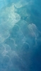 📱画面いっぱいの綺麗な雲と星 AQUOS R2 compact 壁紙・待ち受け