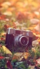 📱芝生と落ち葉と古びたカメラ Mi 11 Lite 5G 壁紙・待ち受け