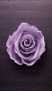 📱木の机 薄い紫の薔薇 Xperia 8 壁紙・待ち受け