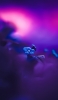 📱小さな青い花 紫の背景 AQUOS R2 compact 壁紙・待ち受け