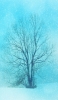 📱水色 枯れ木 雪景色 イラスト Xperia 5 II 壁紙・待ち受け