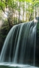 📱森の中の小さな滝 ZenFone Max Pro (M2) 壁紙・待ち受け