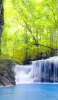 📱綺麗な森と川と小さな滝 Rakuten Hand 壁紙・待ち受け